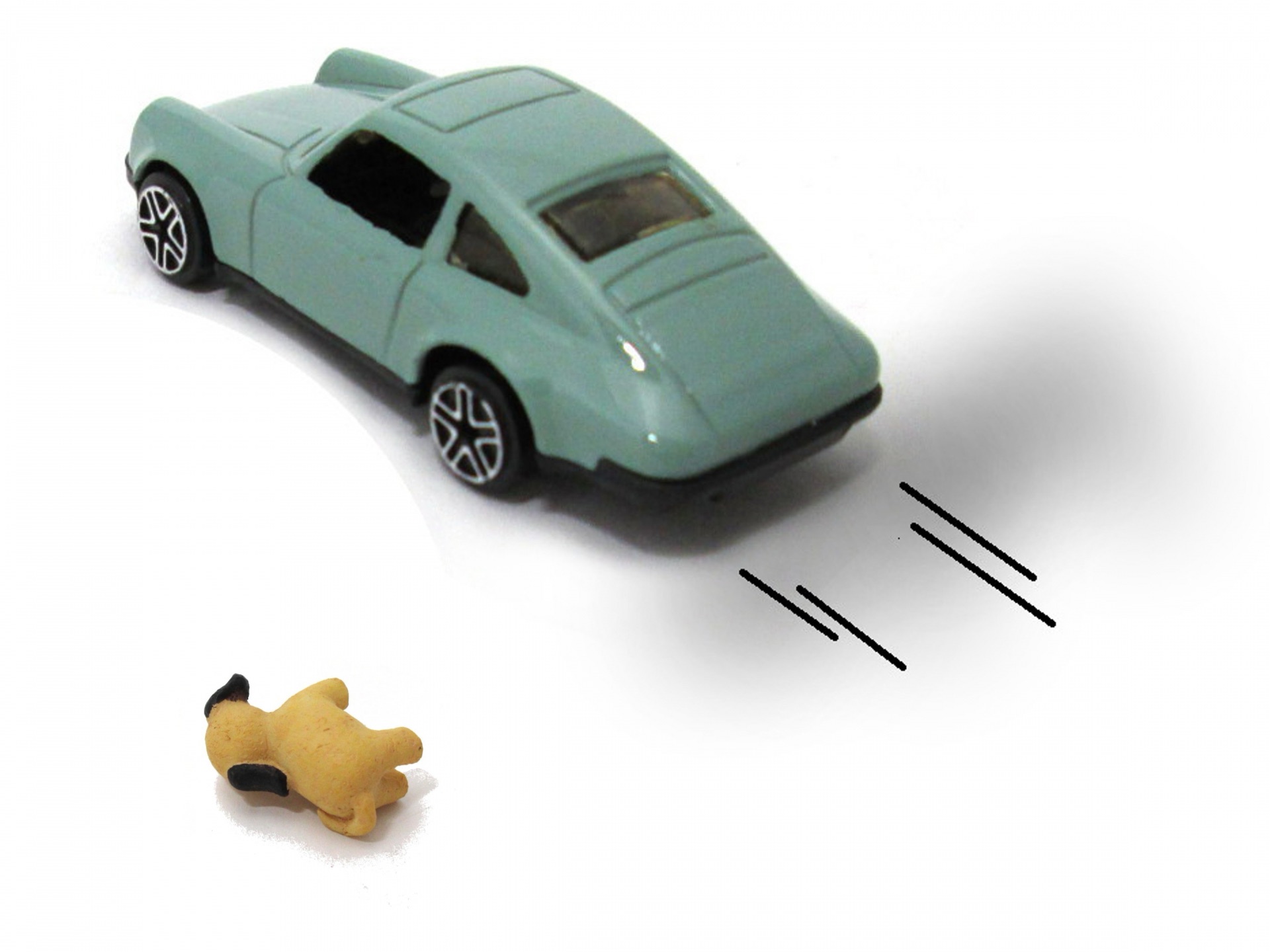 ペットのアクシデント