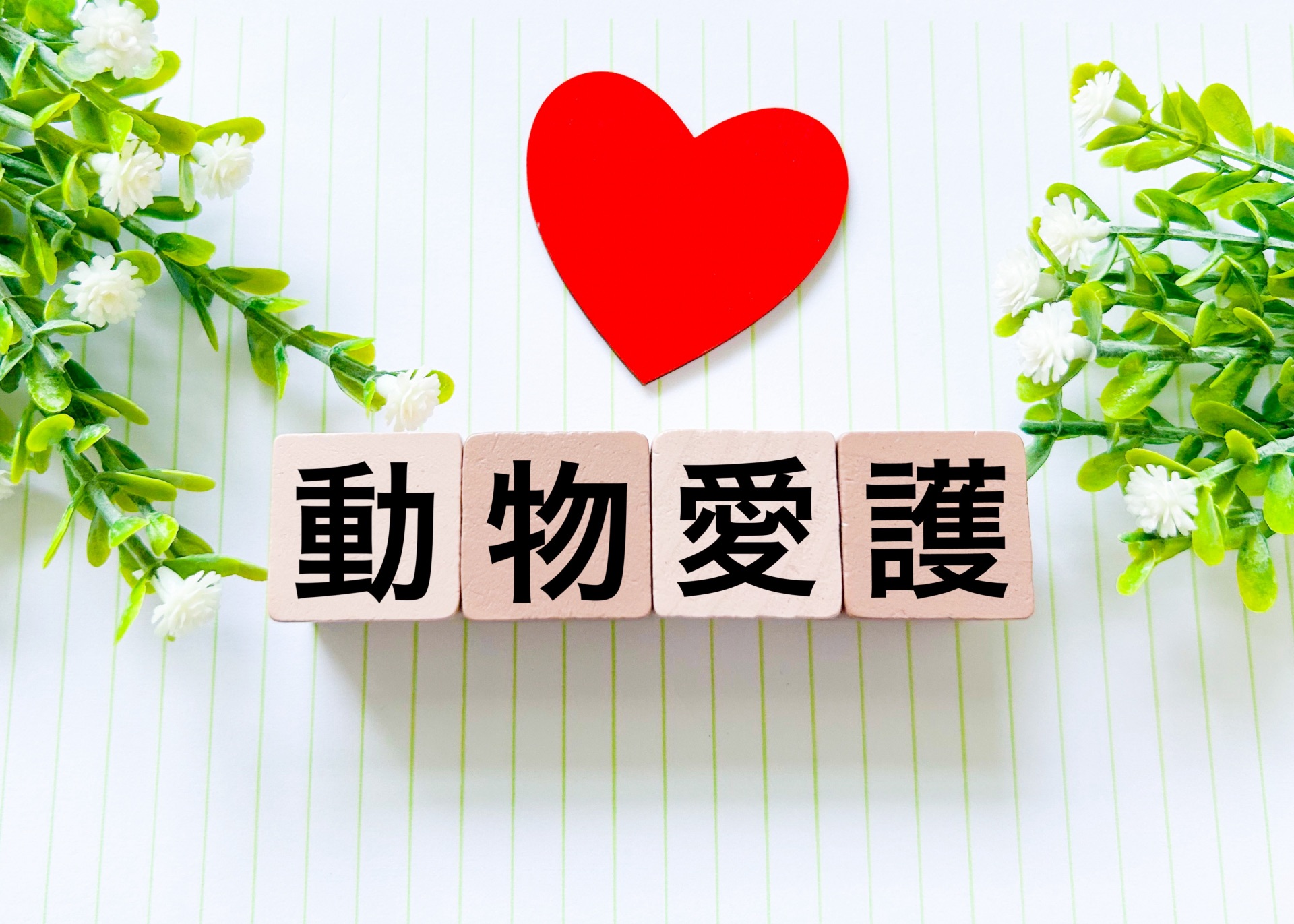 ペット法務　動物愛護